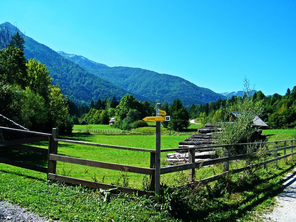 Guest House Alenka Bohinj Εξωτερικό φωτογραφία