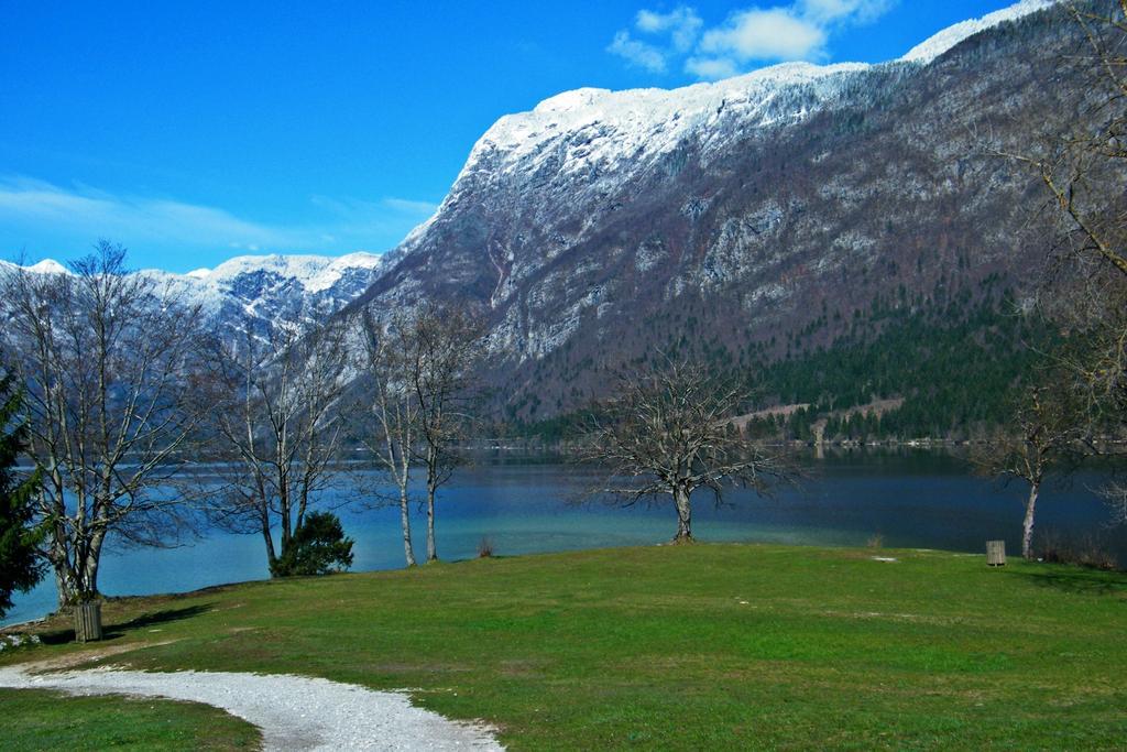 Guest House Alenka Bohinj Εξωτερικό φωτογραφία